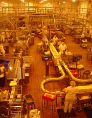 Cheddar cheese line at the Tillamook Cheese Factory. Aged cheddar and cheeses of all sorts are available in the Visitor Center. Also home-made ice cream!