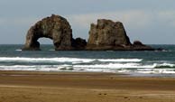 Contact area Chambers of Commerce for oceanside lodging. Visitors mostly clustered in Newport, Cannon Beach, and Lincoln City. 